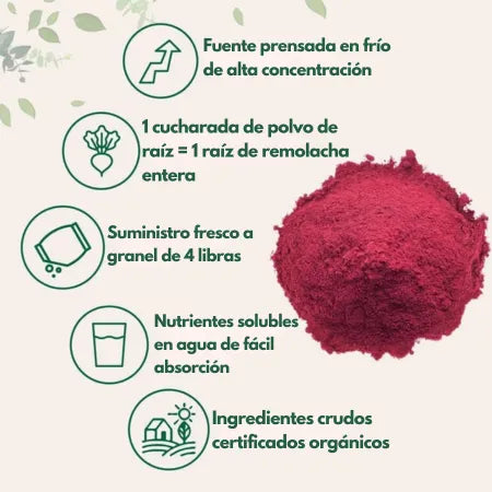 Polvo de Raíz de Remolacha | Circulación activa y rendimiento diario